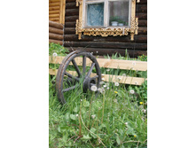 ����� � �������