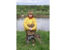 ���� �� �����...