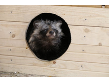 �� ����?..