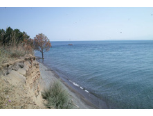 ������� ���������� �� ��� ����� ����������� ��������