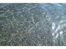 �������. �� � ������, �������� ����� ����� � ������!