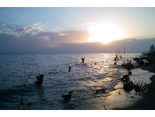 �����, �����