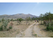 ������� �� ������ �����