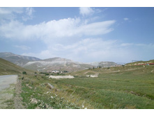 ��� �� ������������� �������, �������� ���������������� ������