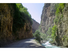 ������ ����