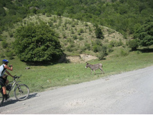 ������ � ����� ���������� �� ����� :)