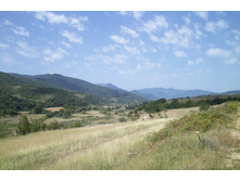 ������ ���� ��������