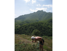 �� �������� ������ ��������, ������ � ������� �������