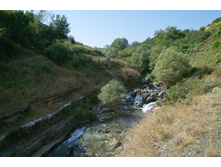 ����������� ����� ���������, ��� ����� � �����������