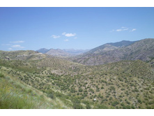 \"����������� ����\"