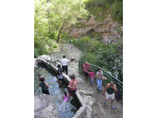 ����������� ����� �� �. �������