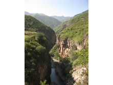 ������ ���� �������