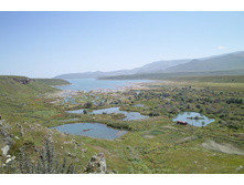 ����� ������ �������������. ������