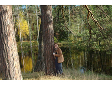 �����-����� � �������