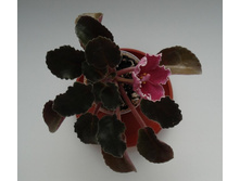 DSC05445.JPG