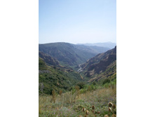 � ������ - ��������� �������