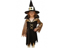 86005	��������� (������, �����)			966�.  