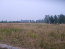 08.08.2010 7:58:38
