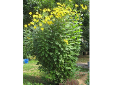 ����������+