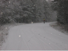 ������...