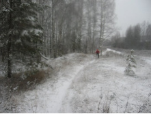 ������� ������