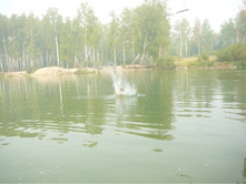 09.08.2010 16:47:32