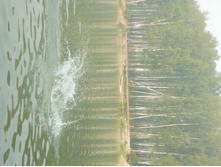 09.08.2010 17:07:59