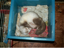 ����� � ������