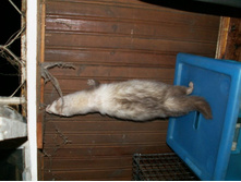 ��, ��� �������...