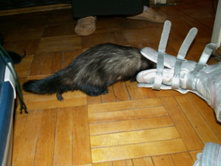 ��� �����?