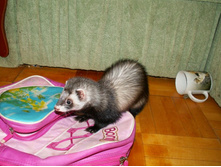 ��� �� ����...?