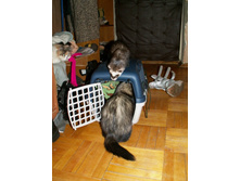 �� �������...