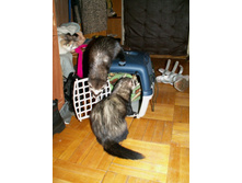 ��� �ݣ � ��������!