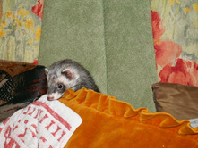 ��-��-��...