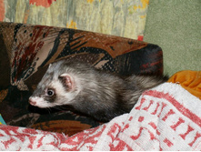 �������