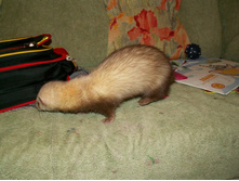 �� �����...