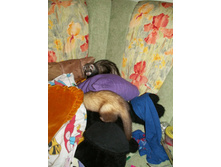 ��� ���-�� ����...