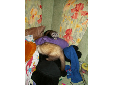 �� ����� � �����