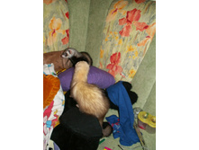 ����-���� �����!