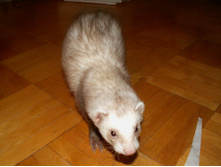 ������� :)