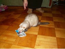 ��... ������ �����. ����.