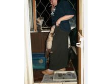 �� �����!