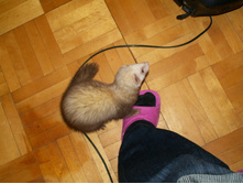 ������� ��� ���?...