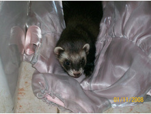 ���������� �� �ߣ��� �������?