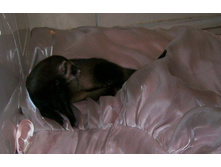 ���? �� � �����.