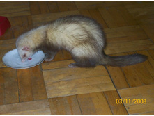 �����, �ݣ ��������?...