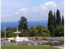 �������. ������� ���� 