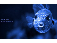 �� �����!