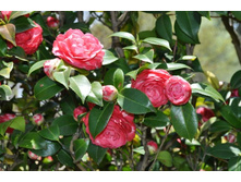 ����������� 191.jpg