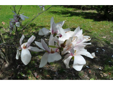 ����������� 198.jpg